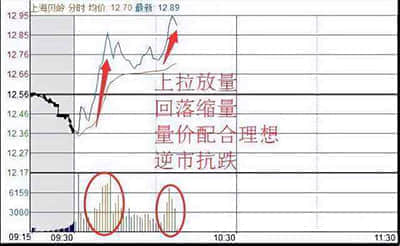 传特斯拉(TSLA.US)接近与印度政府就进口电动汽车和建厂达成协议