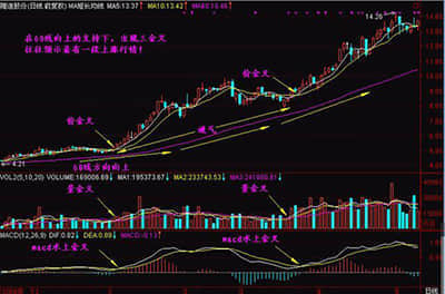 慈善信托驶入快车道，与理财产品合作成为一种新趋势