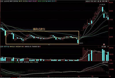 “世界工厂”重塑镇域经济：精准发力“百千万工程”，再造一个新东莞