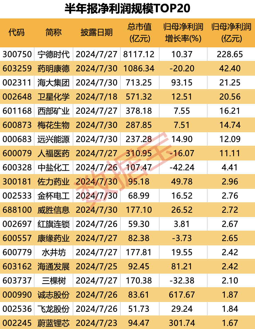 首批50家上市公司半年报出炉 这20家净利润规模居前